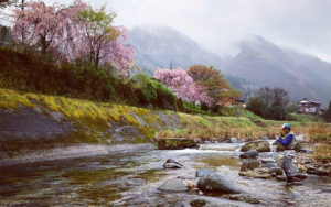 美しい桜と山を背景に竿を振る