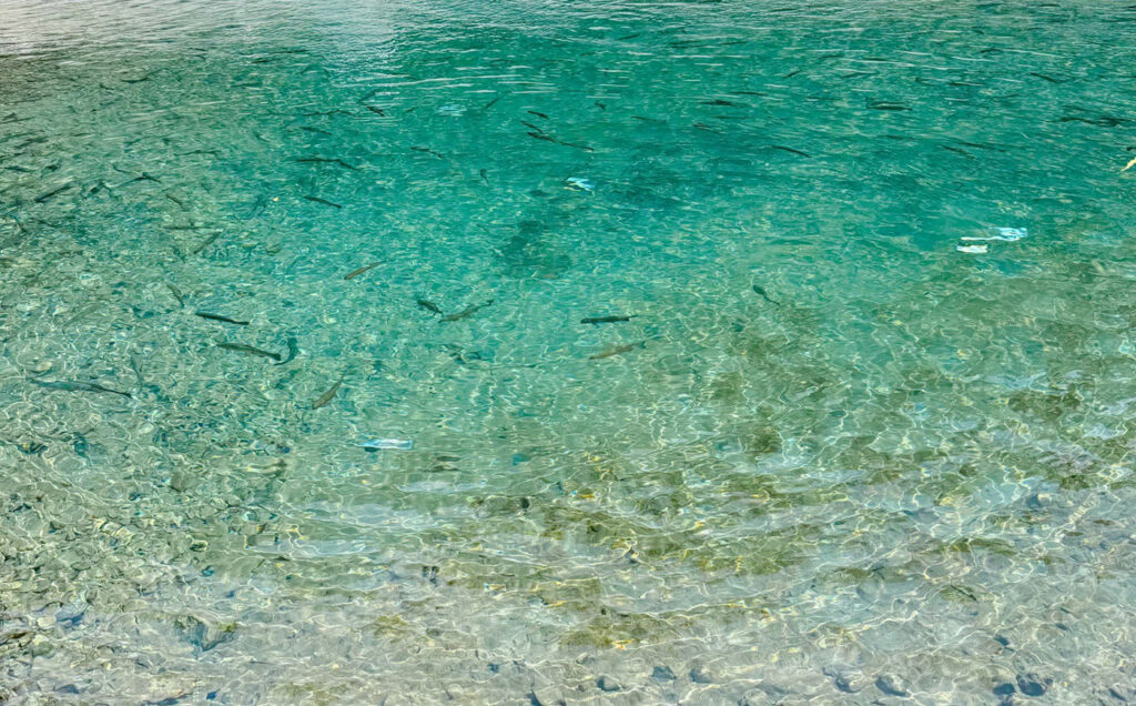 Huerco GTF600-5S Gallery 01