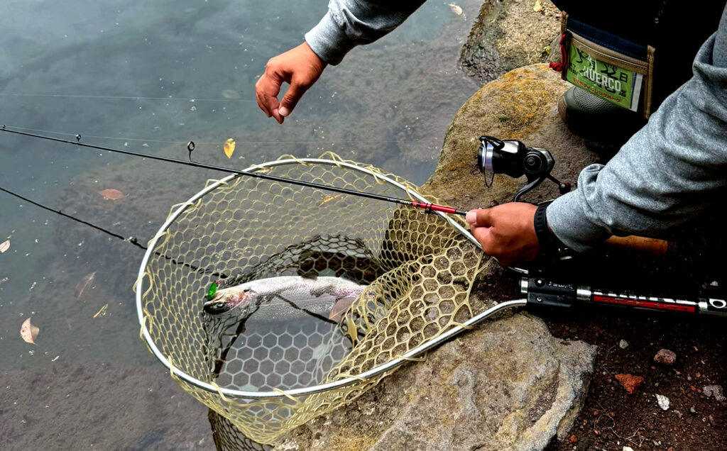 Huerco GTF600-5S Gallery 03