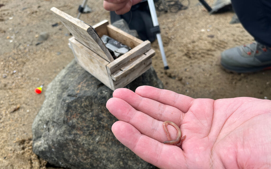 淀川でハゼを釣って食って飲む