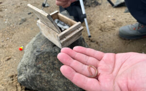 淀川でハゼを釣って食って飲む