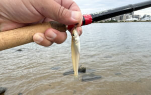 淀川でハゼを釣って食って飲む