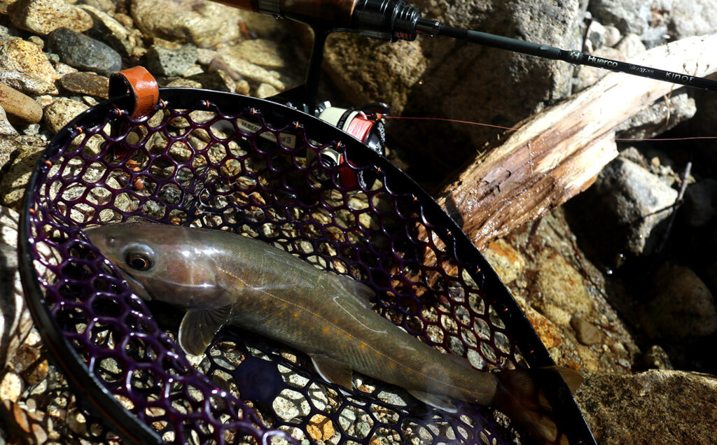 Huerco HK407-5S Gallery 05