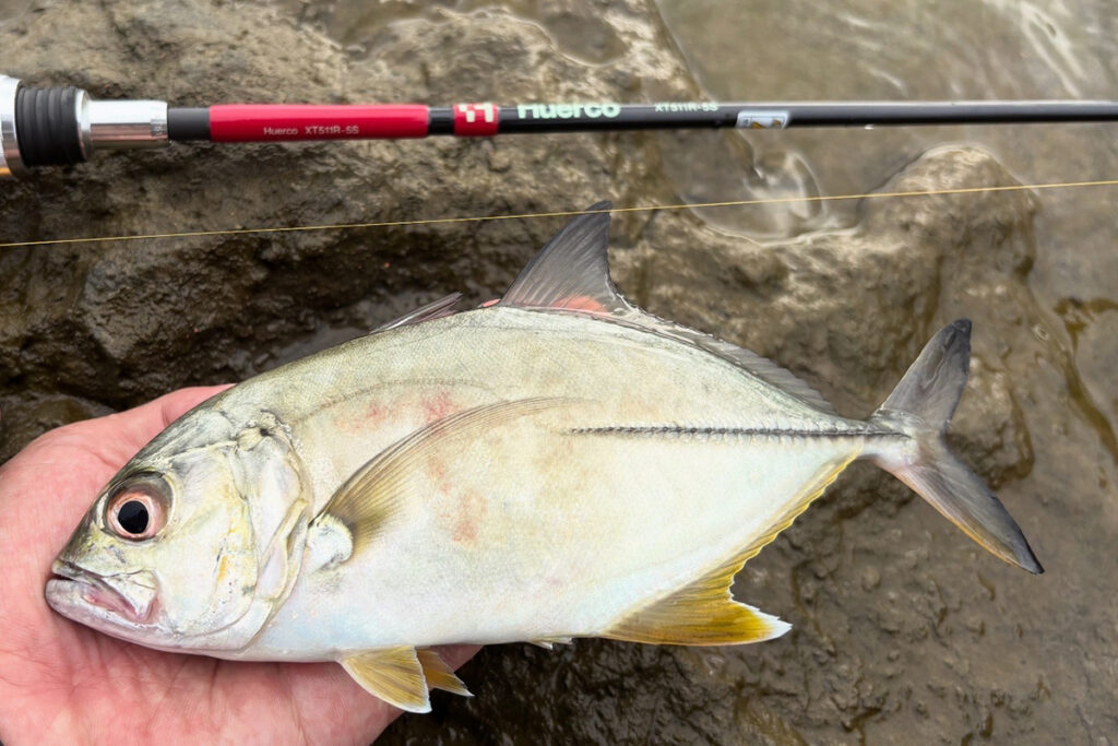 Huercoマガジン - 初めての西表島への挑戦