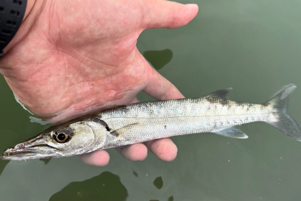 Huercoマガジン - 初めての西表島への挑戦