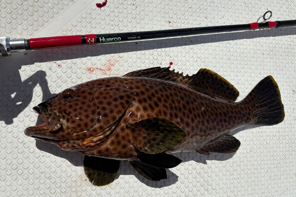 Huercoマガジン - 初めての西表島への挑戦
