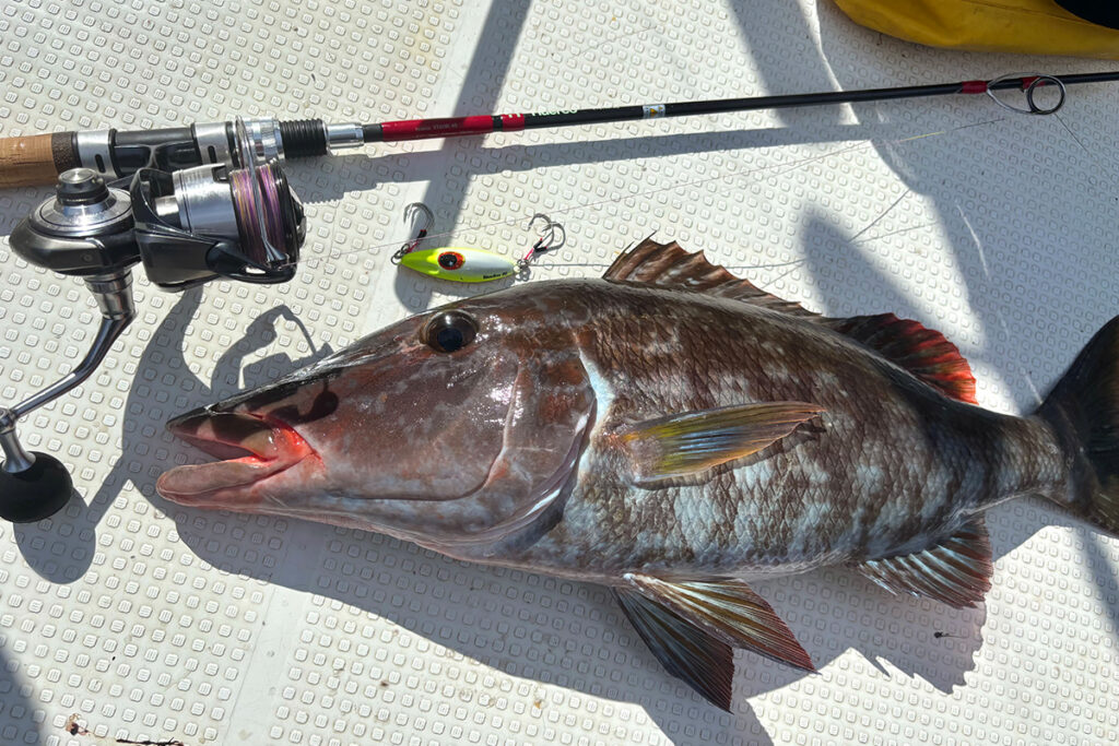 Huercoマガジン - 初めての西表島への挑戦