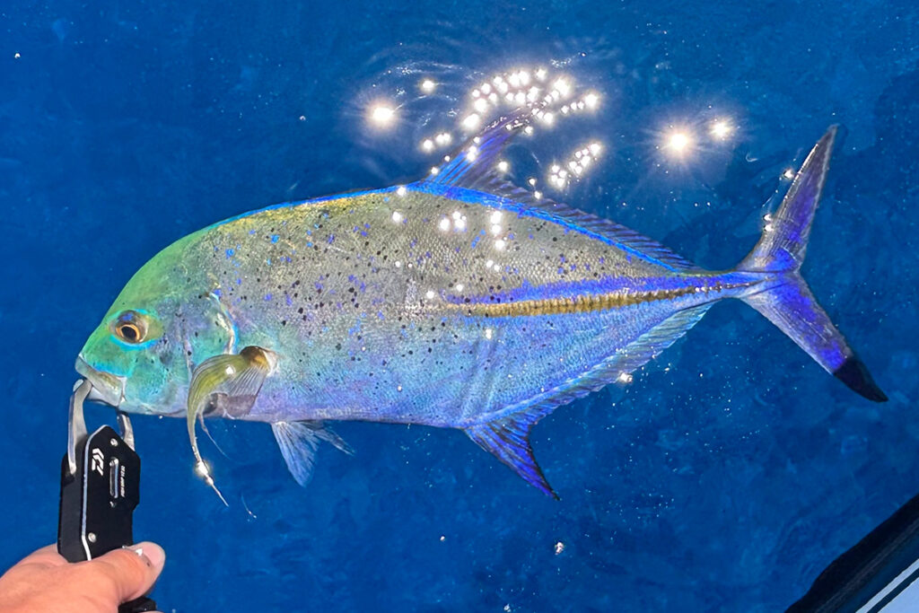 Huercoマガジン - 初めての西表島への挑戦