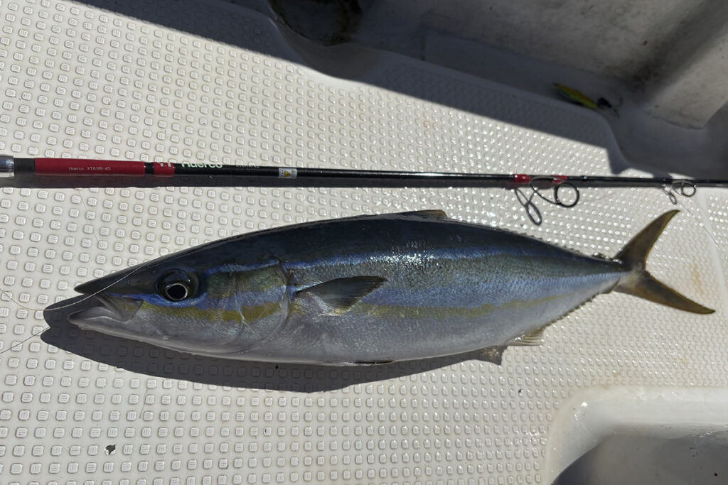 Huercoマガジン - 初めての西表島への挑戦