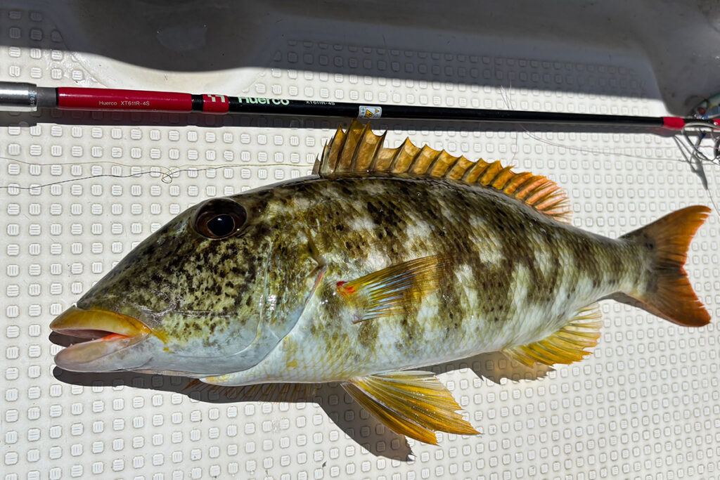 Huercoマガジン - 初めての西表島への挑戦