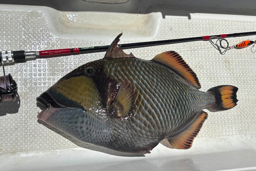 Huercoマガジン - 初めての西表島への挑戦