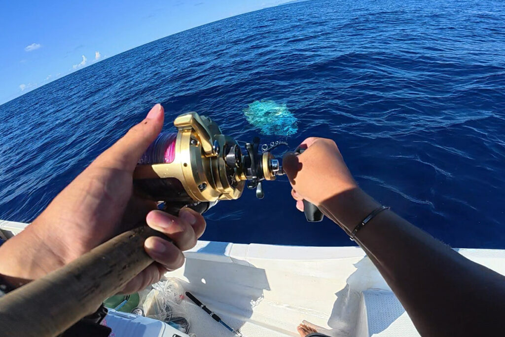 Huercoマガジン - 初めての西表島への挑戦