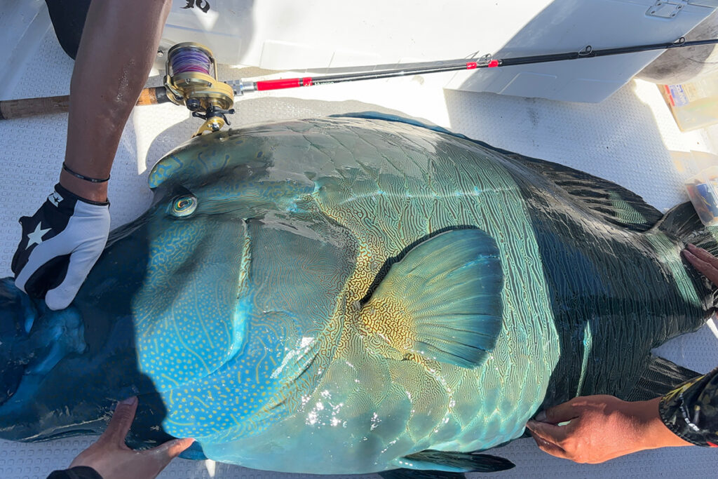 Huercoマガジン - 初めての西表島への挑戦