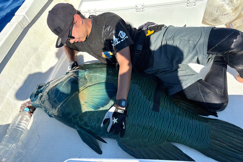 Huercoマガジン - 初めての西表島への挑戦