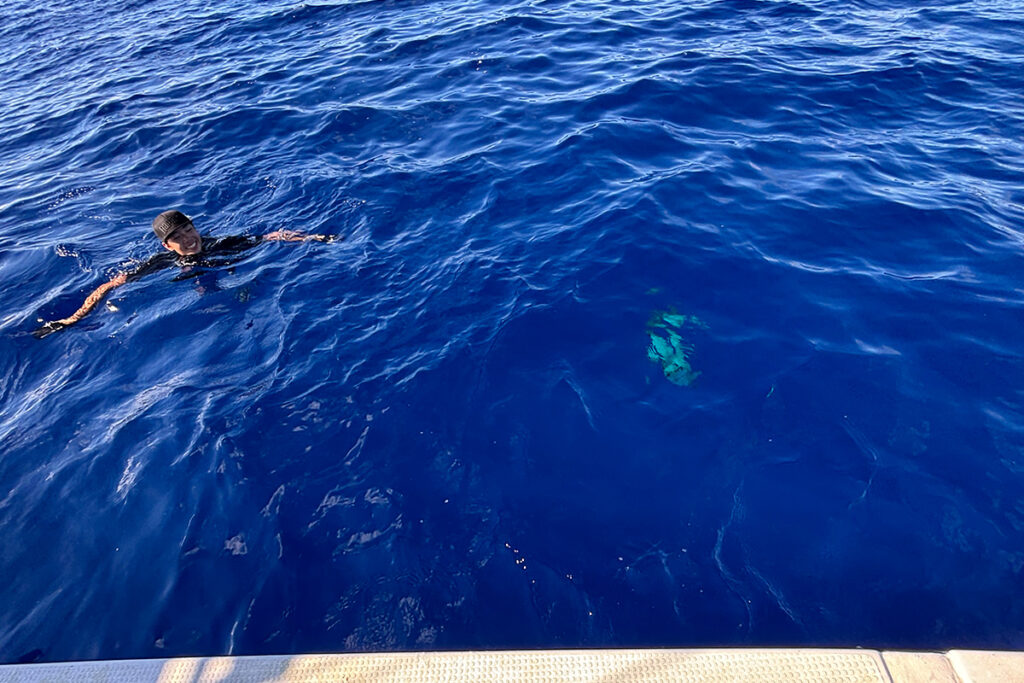 Huercoマガジン - 初めての西表島への挑戦