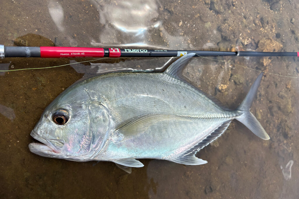 Huercoマガジン - 初めての西表島への挑戦