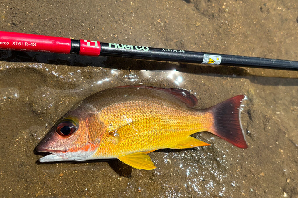 Huercoマガジン - 初めての西表島への挑戦